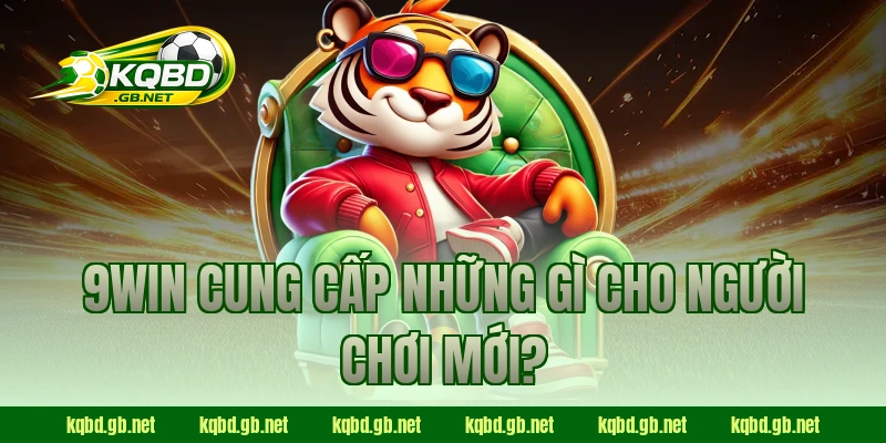 9WIN cung cấp những gì cho người chơi mới?