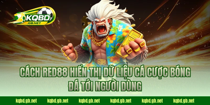 Cách RED88 hiển thị dữ liệu cá cược bóng đá tới người dùng