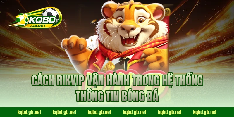 Cách RIKVIP vận hành trong hệ thống thông tin bóng đá