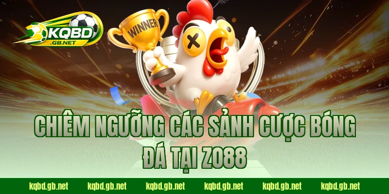 Chiêm ngưỡng các sảnh cược bóng đá tại ZO88