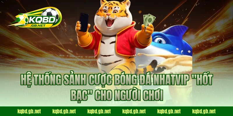 Hệ thống sảnh cược bóng đá NHATVIP "hốt bạc" cho người chơi