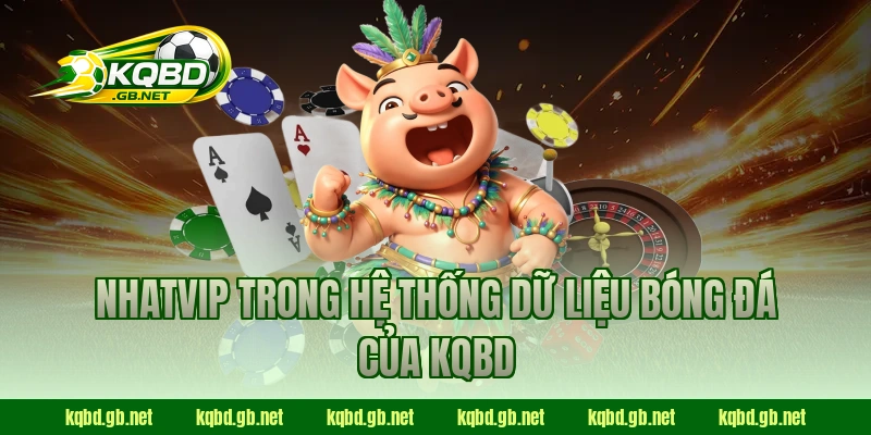 NHATVIP trong hệ thống dữ liệu bóng đá của KQBD
