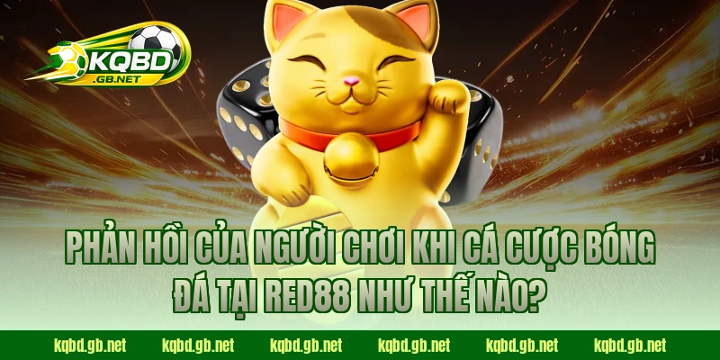 Phản hồi của người chơi khi cá cược bóng đá tại RED88 như thế nào?