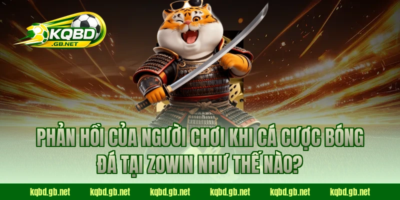 Phản hồi của người chơi khi cá cược bóng đá tại ZOWIN như thế nào?