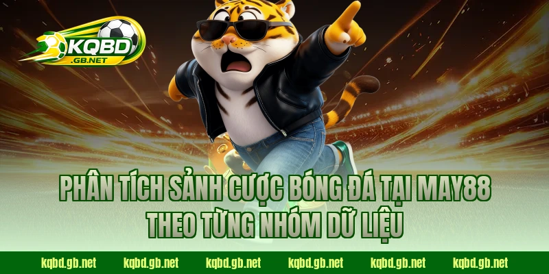 Phân tích sảnh cược bóng đá tại May88 theo từng nhóm dữ liệu