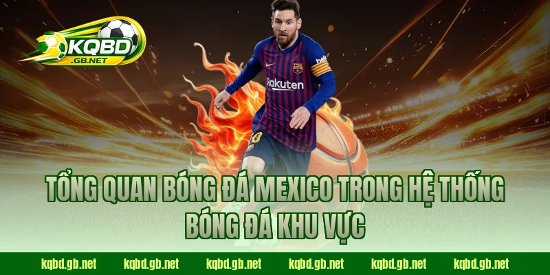 Tổng quan bóng đá Mexico trong hệ thống bóng đá khu vực