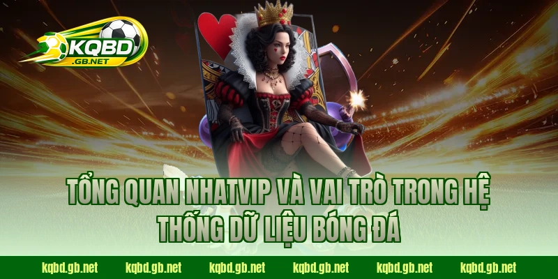 Tổng quan NHATVIP và vai trò trong hệ thống dữ liệu bóng đá