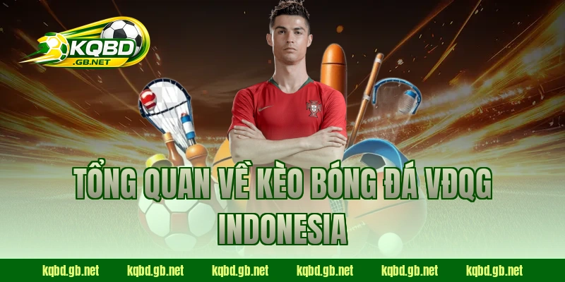 Tổng quan về kèo bóng đá VĐQG Indonesia 