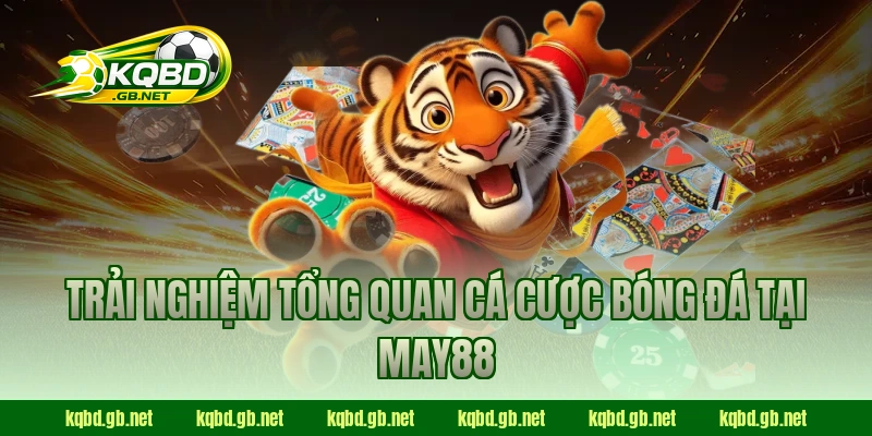 Trải nghiệm tổng quan cá cược bóng đá tại May88